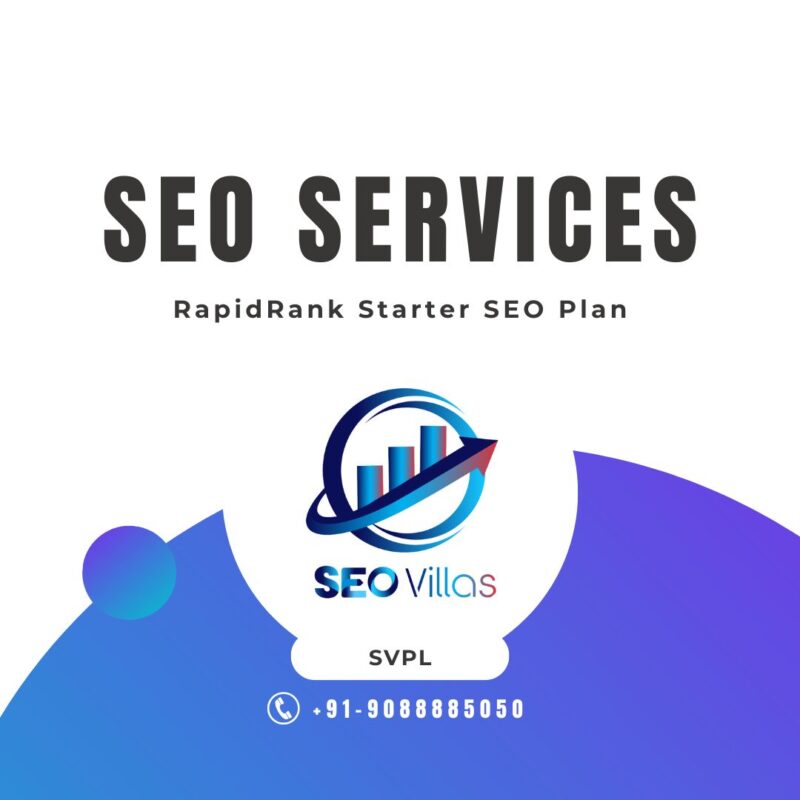 RapidRank Starter SEO Plan